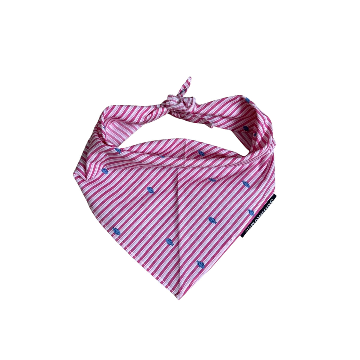 Bandanas- Large
