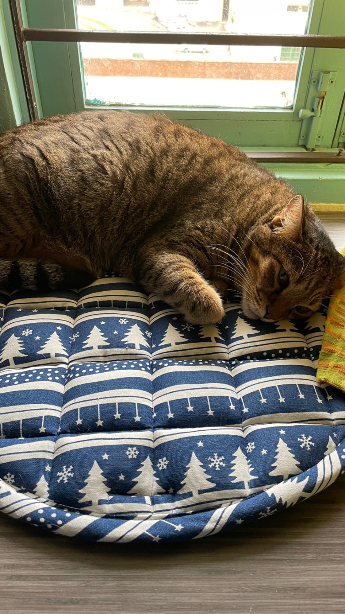 Cat Mats