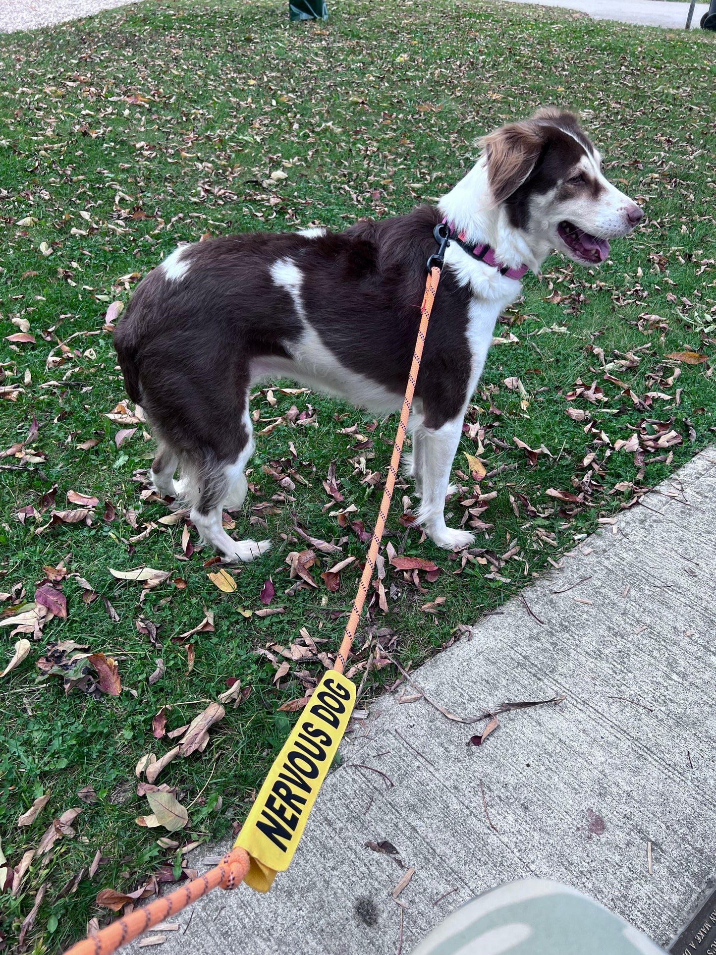PreOrder-Leash Sleeves