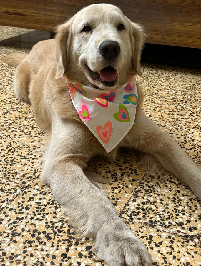 Bandanas- Large