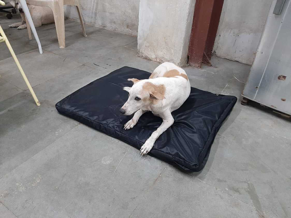 Share a Bed