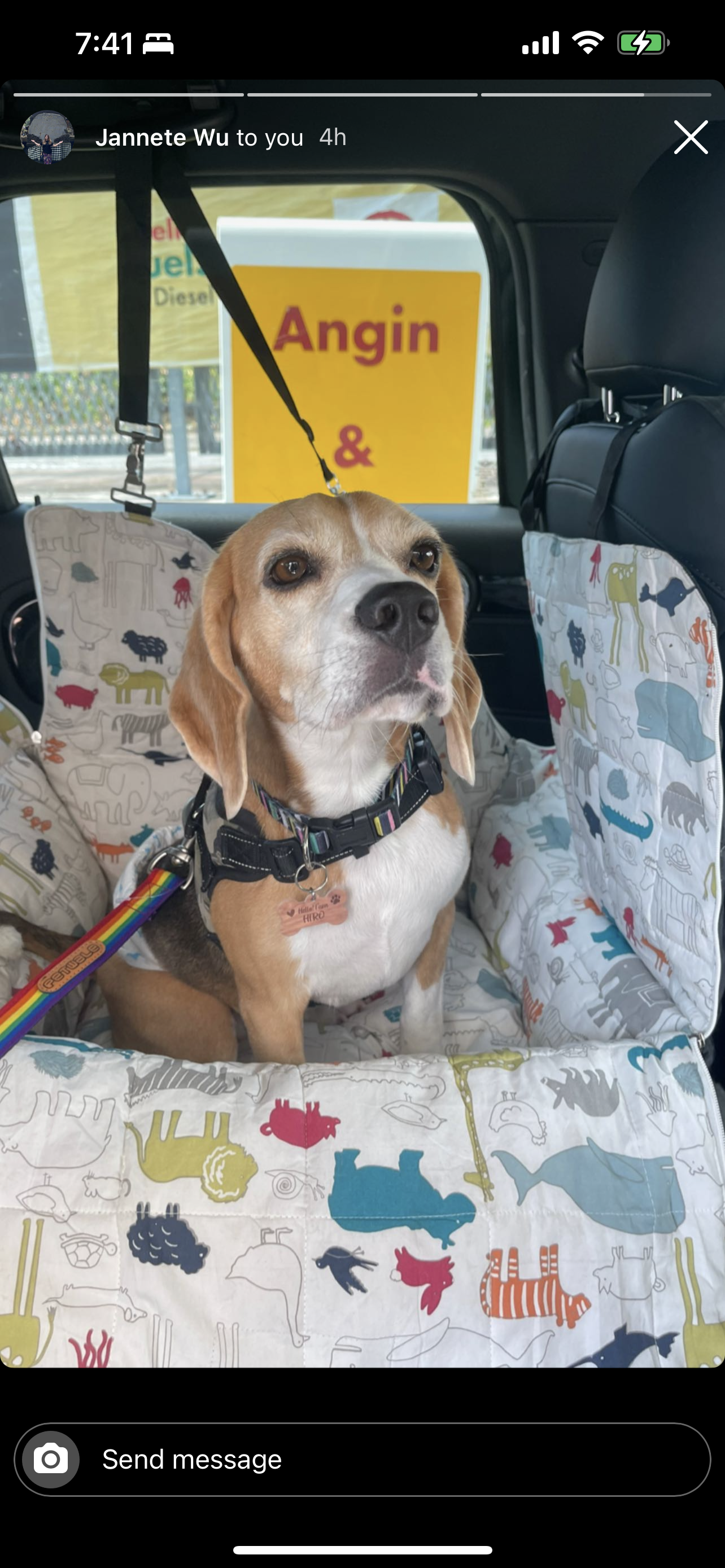 Booster Seat for dogs who need a dedicated space for dogs. This doubles up as a bed.