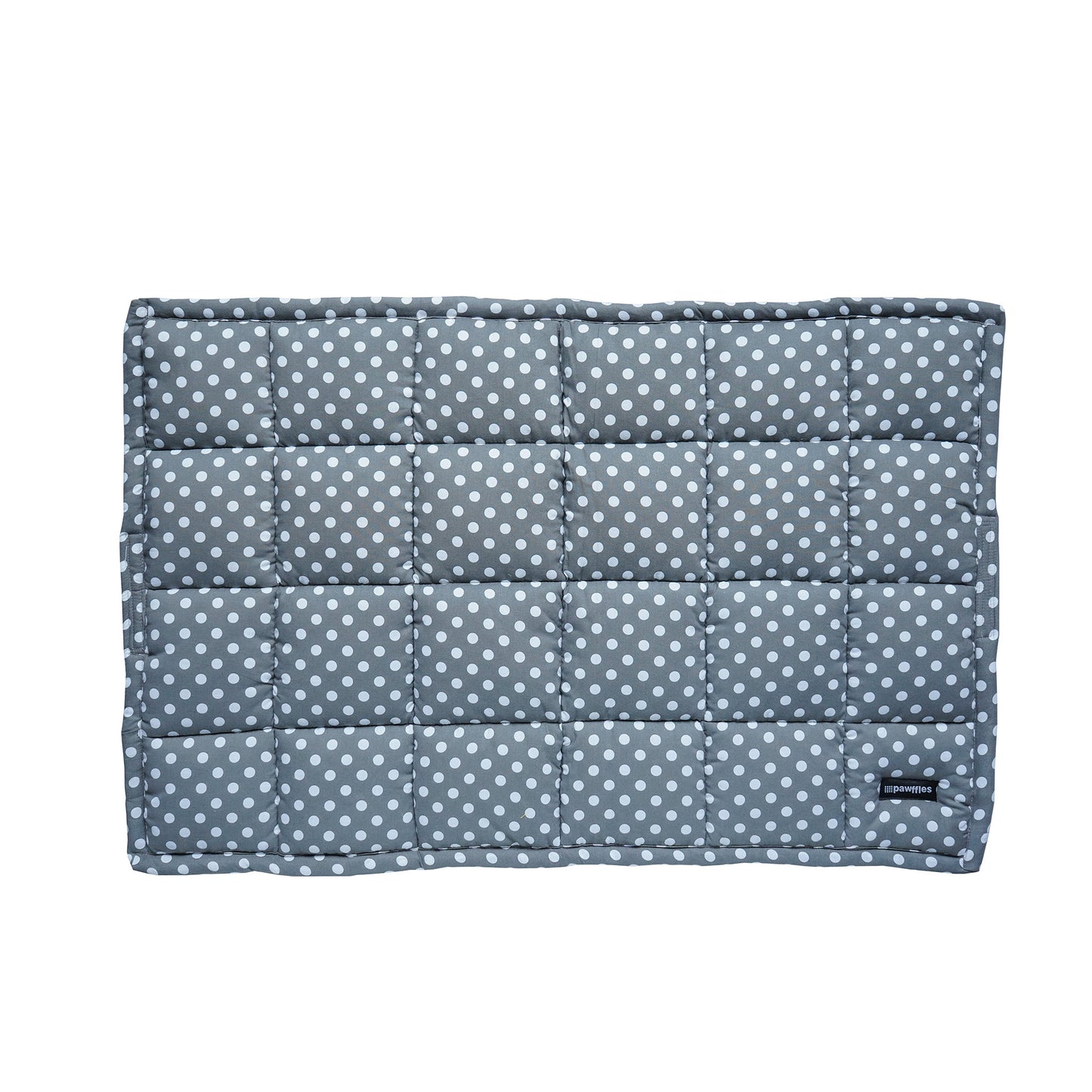 Polka love