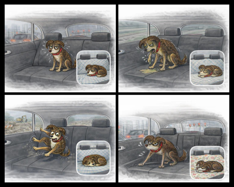 When does a pet car seat cover actually make sense?