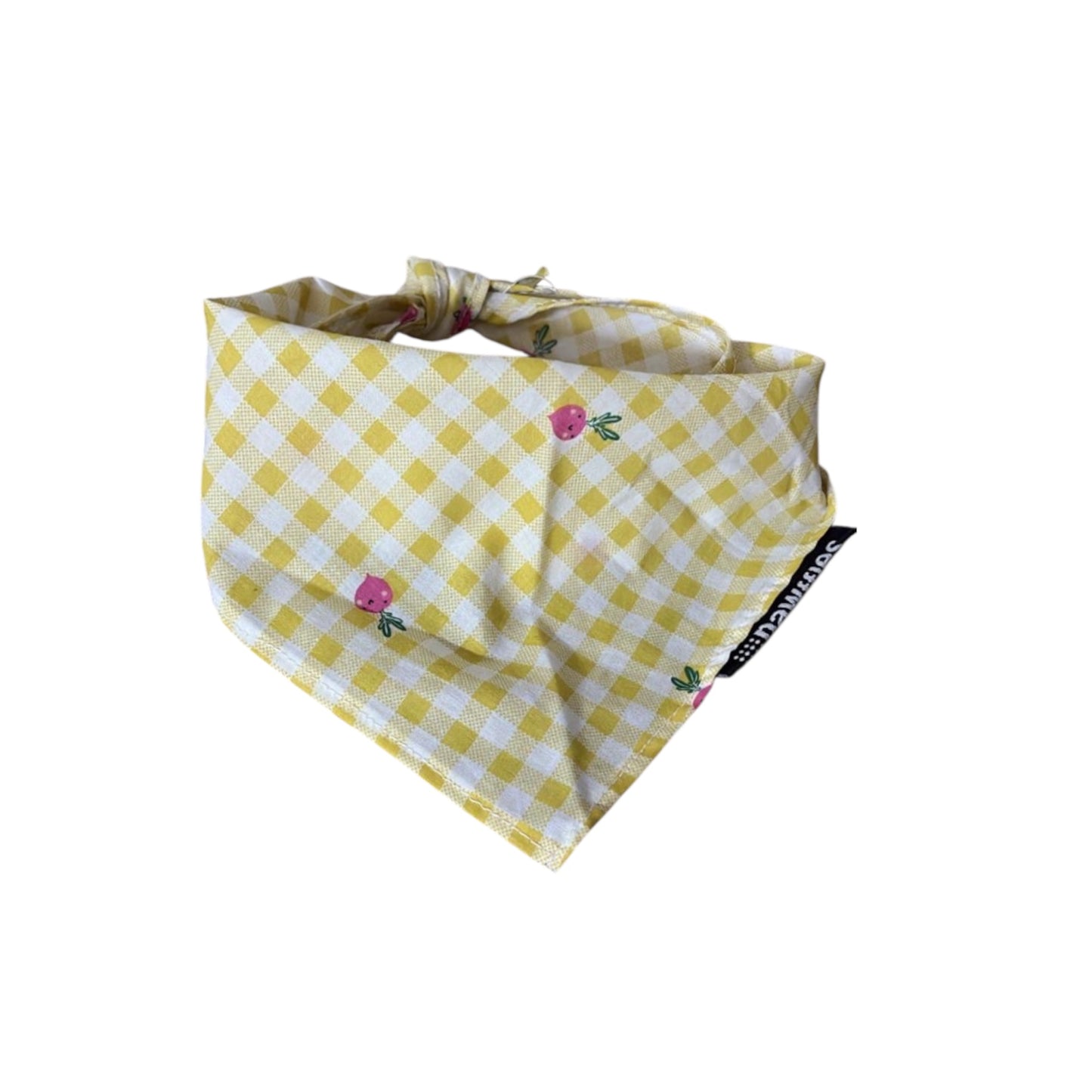Bandanas- Small