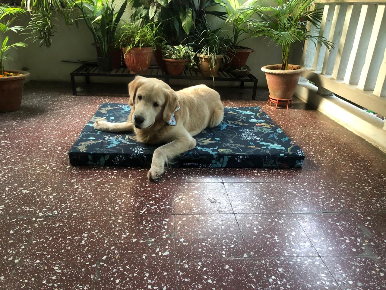 Orthopaedic Dog Bed- Black Florals