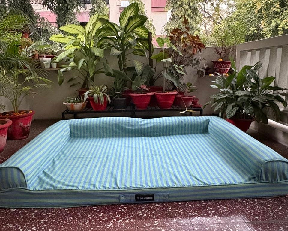 Orthopaedic Dog Bed- Large