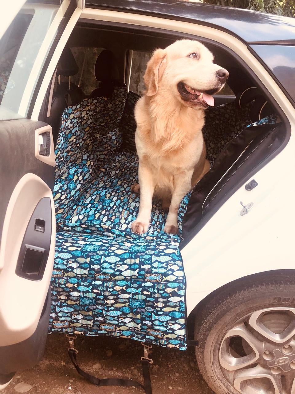 Stretch me legs more Dog Car Seat Cover