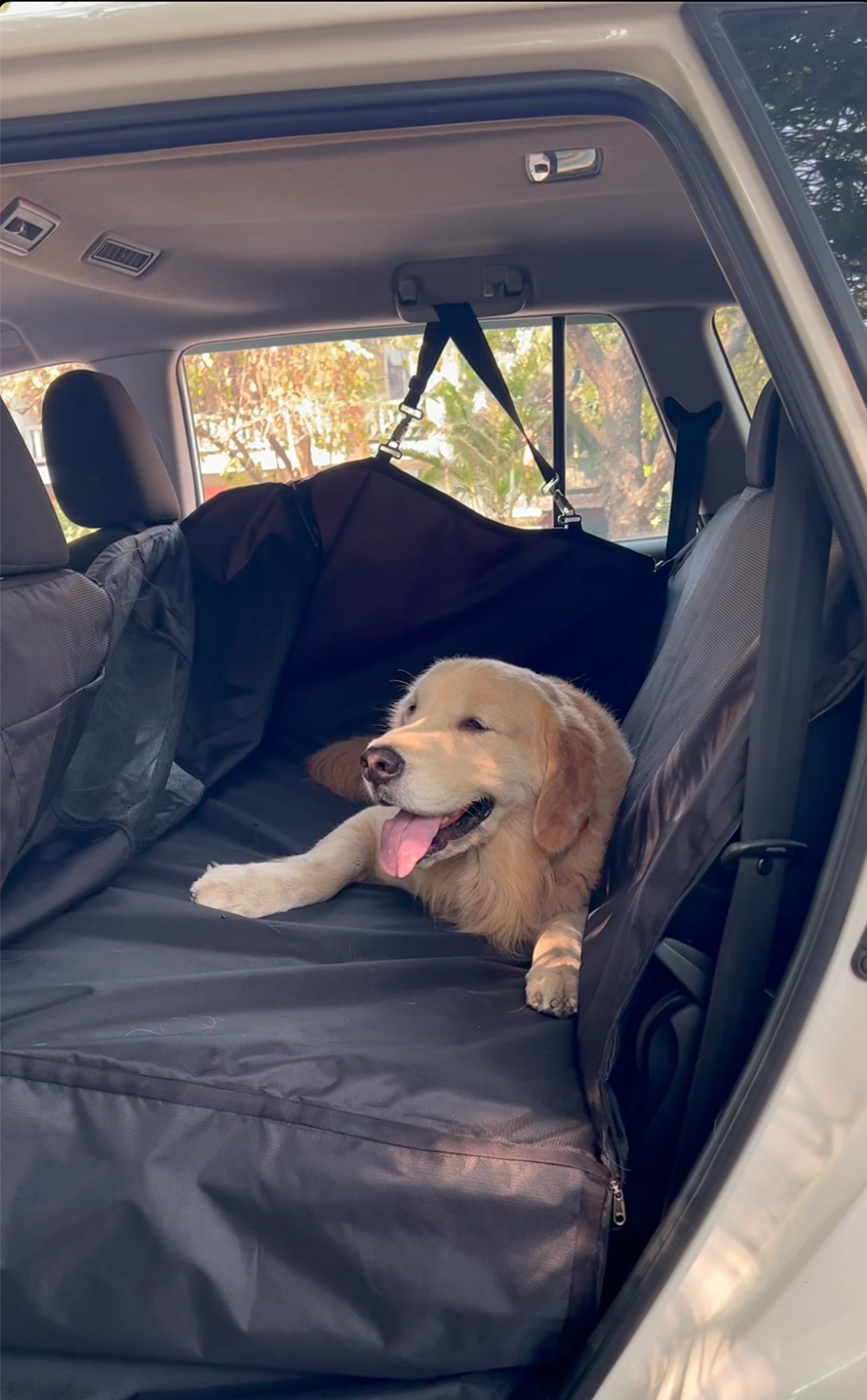 Stretch me legs more Dog Car Seat Cover