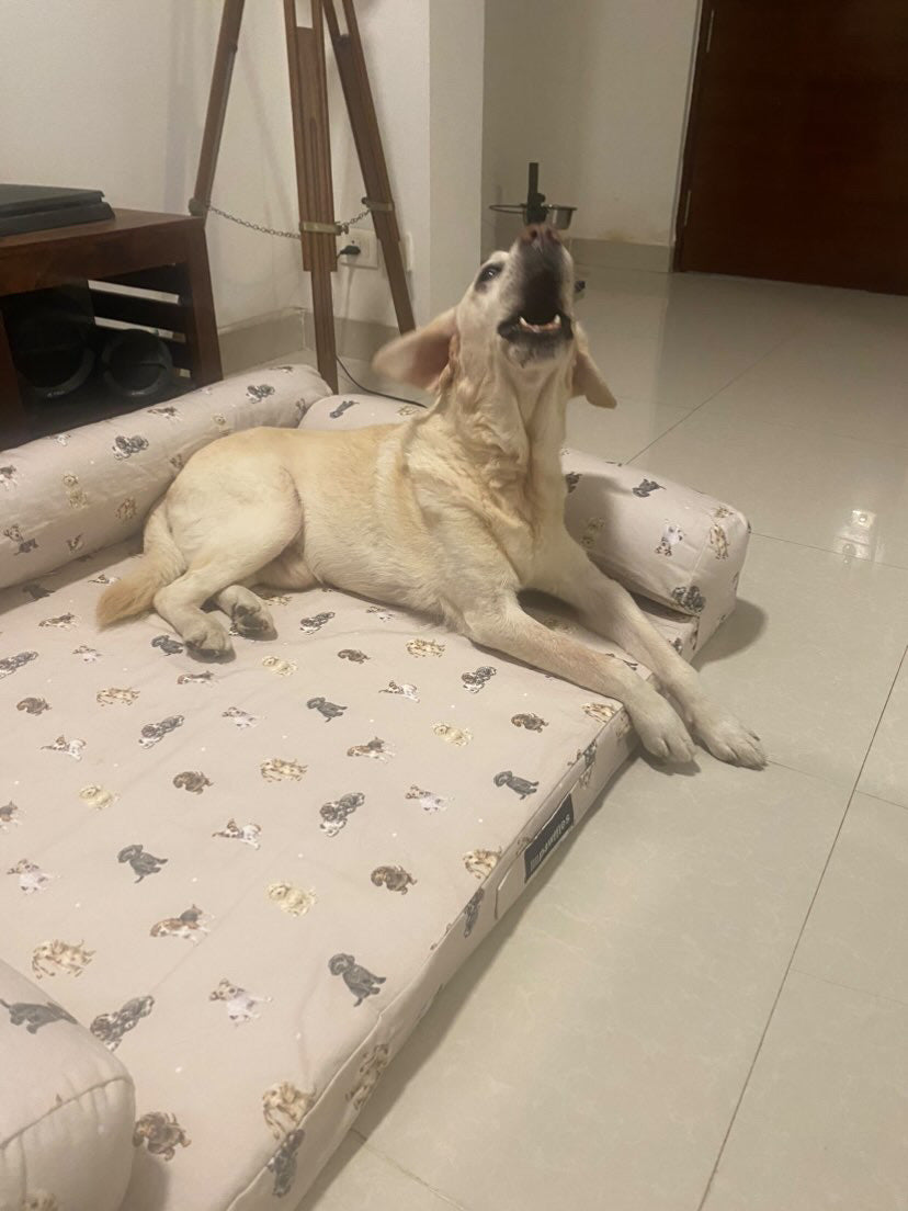 Orthopaedic Dog Bed- Large