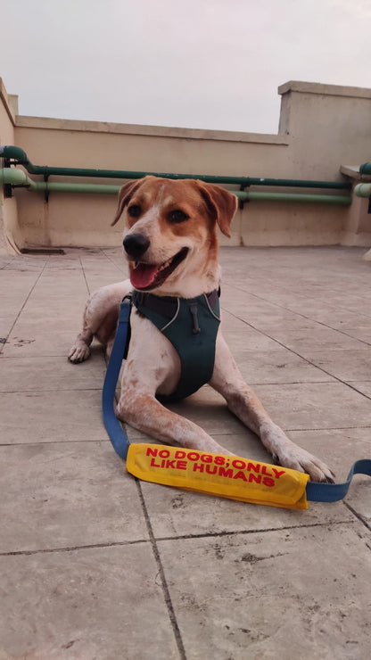 PreOrder-Leash Sleeves