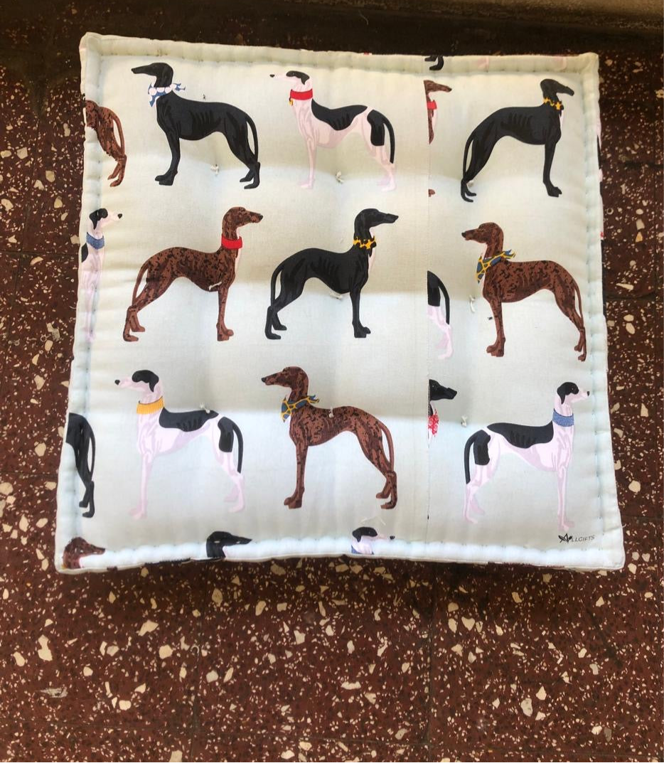 Floor Cushions