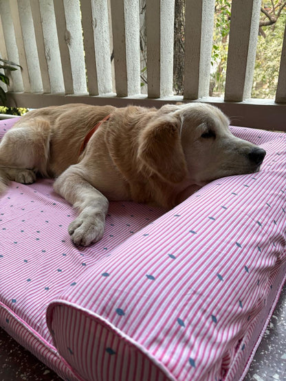 Orthopaedic Dog Bed- Large