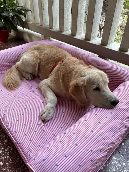 Orthopaedic Dog Bed- Large