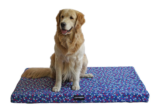 Orthopaedic Dog Bed- Small