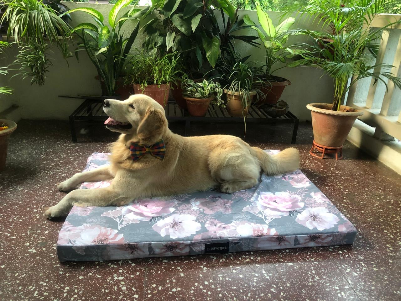 Orthopaedic Dog Bed- Grey Florals