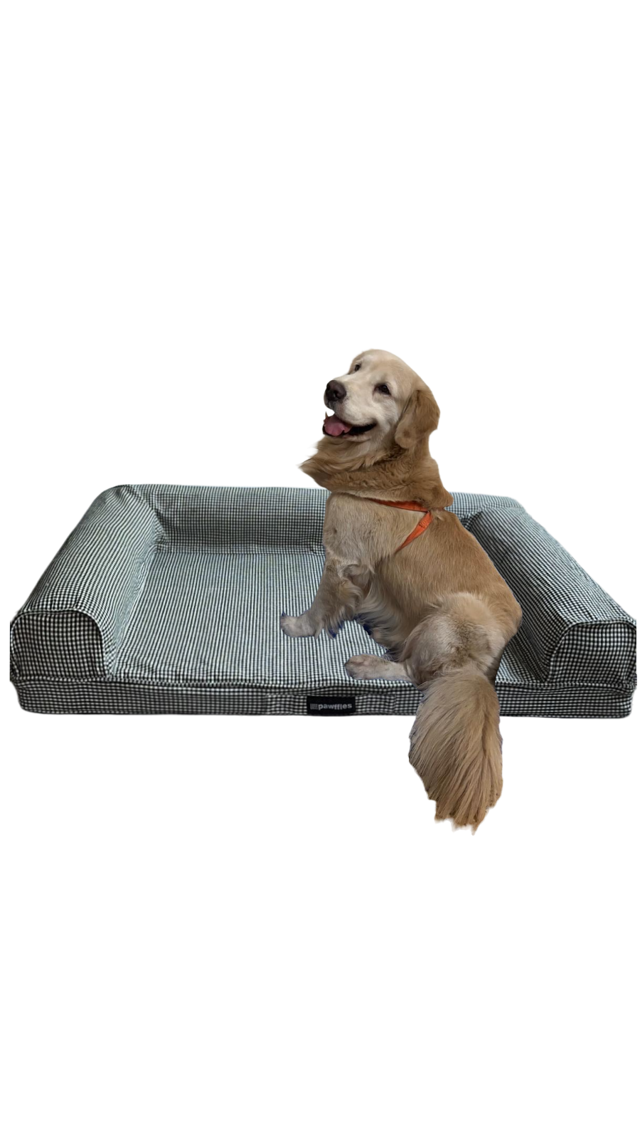 Orthopaedic Dog Bed- Large