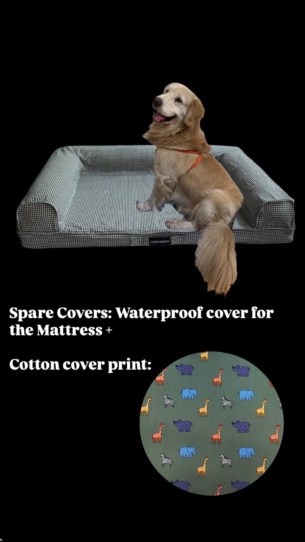 Orthopaedic Dog Bed- Large