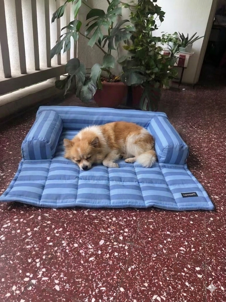 Bed Lite