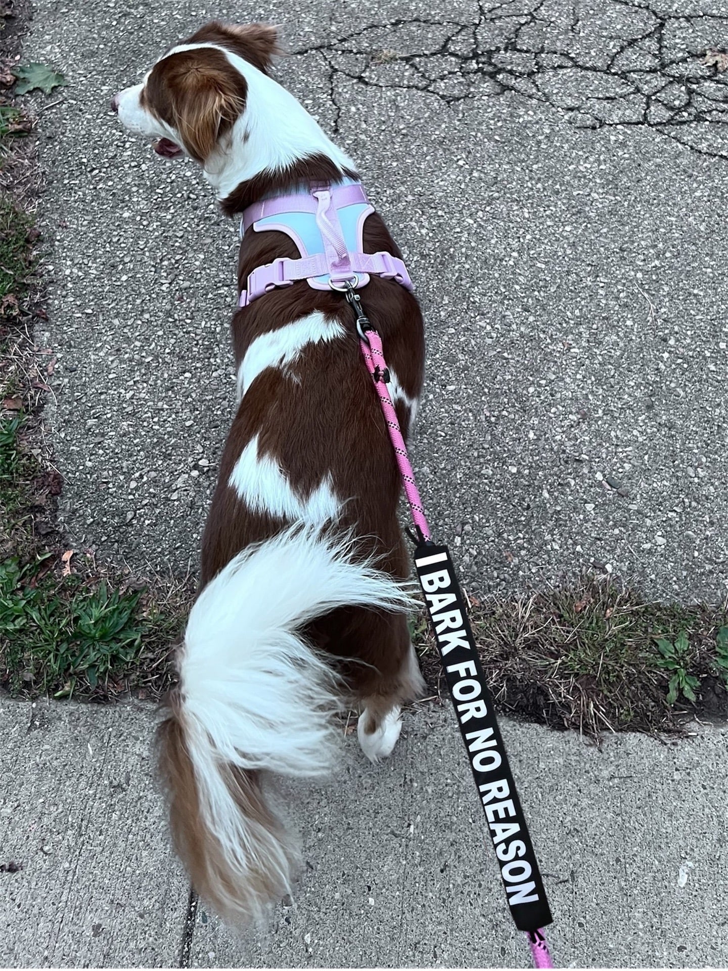 PreOrder-Leash Sleeves