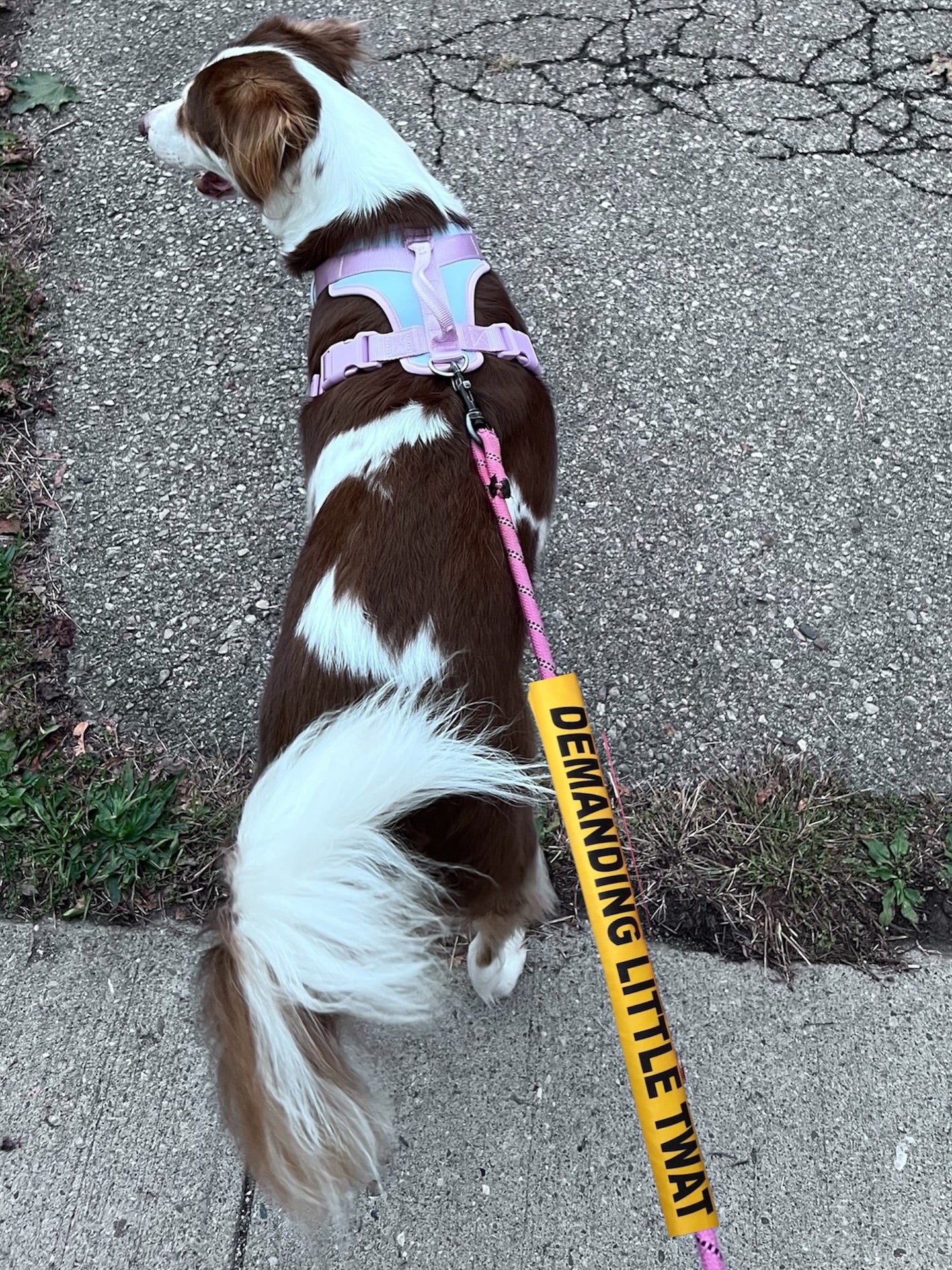 PreOrder-Leash Sleeves