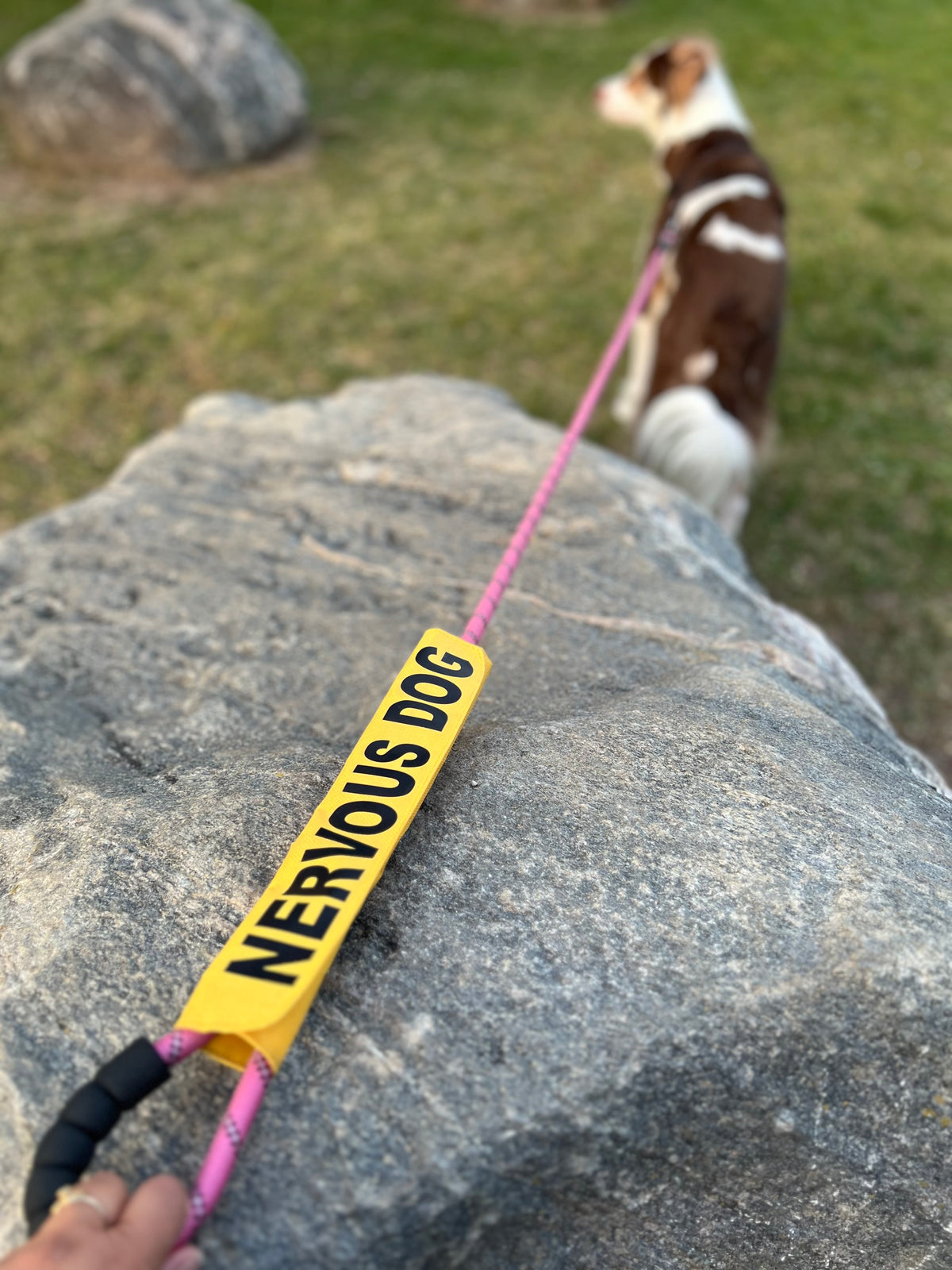 PreOrder-Leash Sleeves