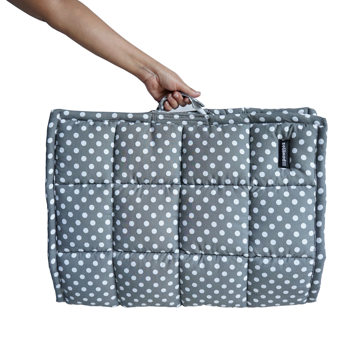 Polka love