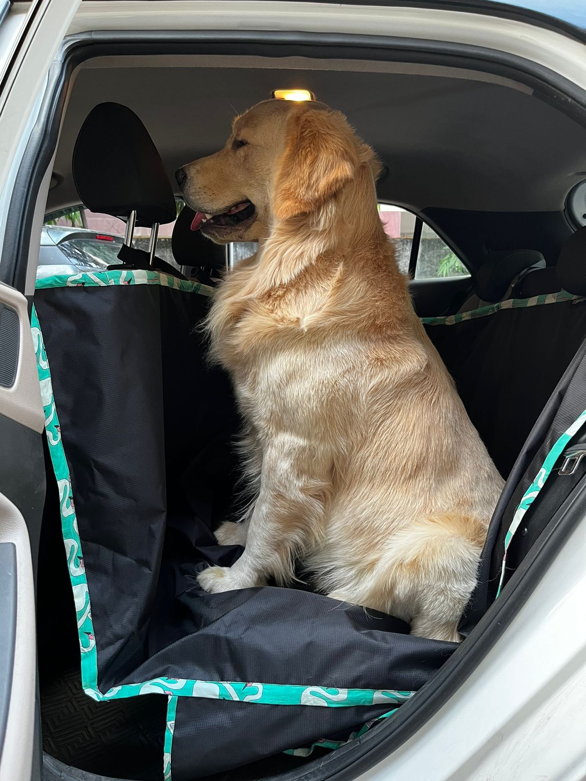By2 car seat cover for dogs in basic waterproof