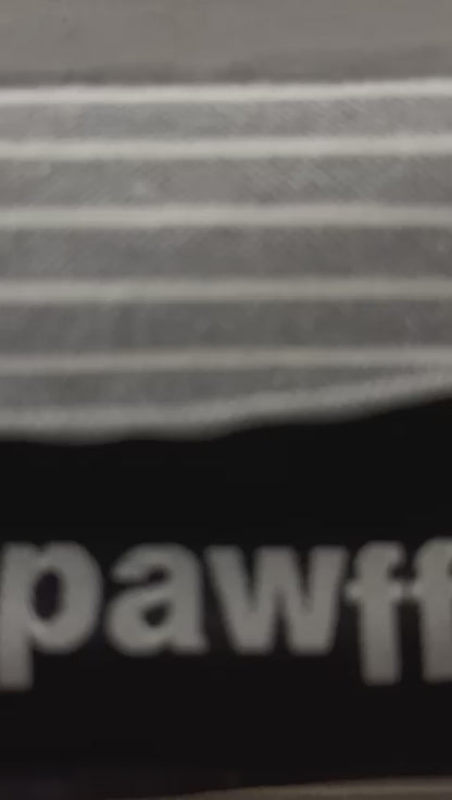 Foldable Orthopaedic Dog Bed