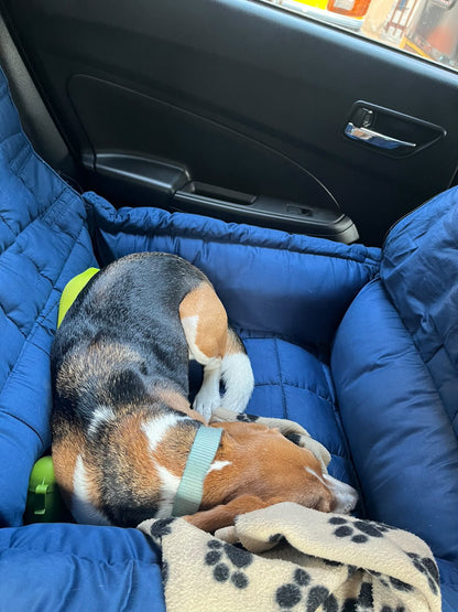 Booster Seat for dogs who need a dedicated space for dogs. This doubles up as a bed. 
