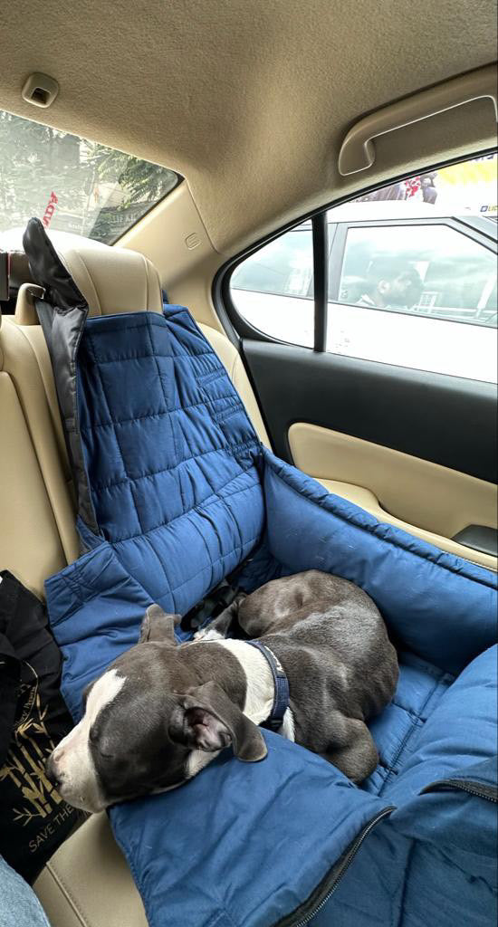 Booster Seat for dogs who need a dedicated space for dogs. This doubles up as a bed. 